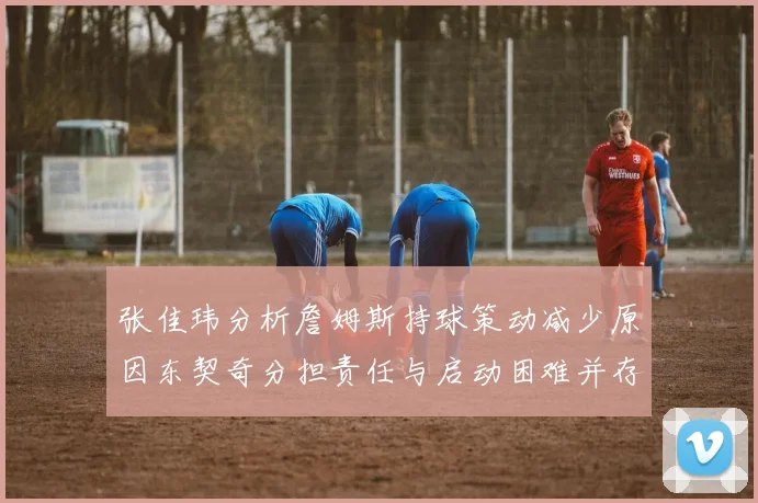 张佳玮分析詹姆斯持球策动减少原因东契奇分担责任与启动困难并存
